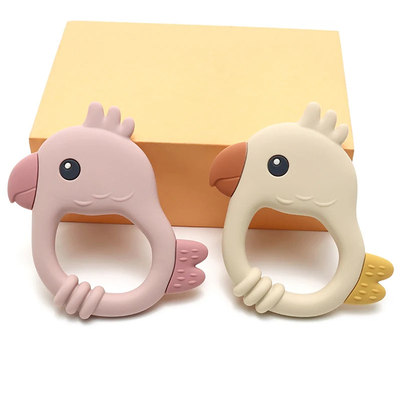 ensemble deux couleurs anneau dentition