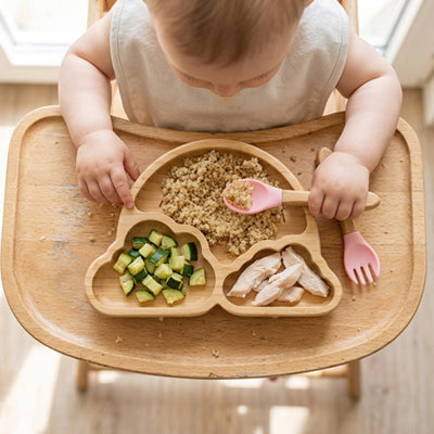 vue de haut ensemble repas bebe